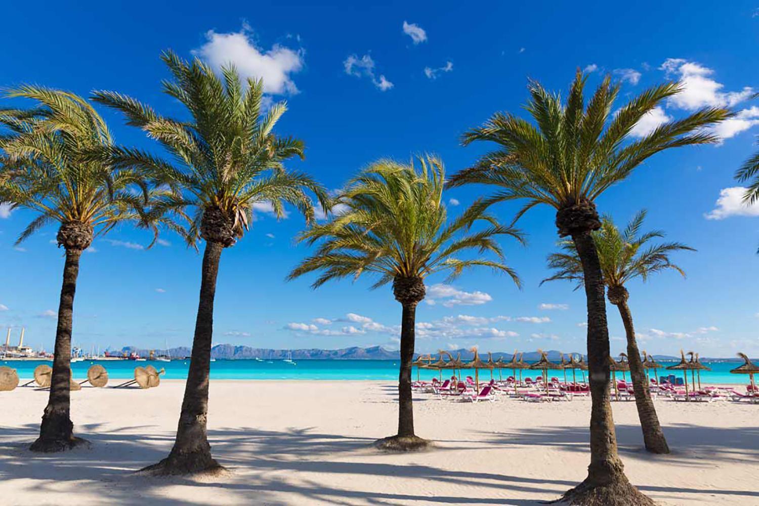 Pons Paradise *
